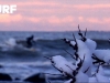 boff_finnsurf2800