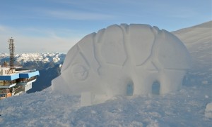 02_SNOW_ekipa_finska_5