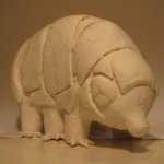 Finska_Tardigrade